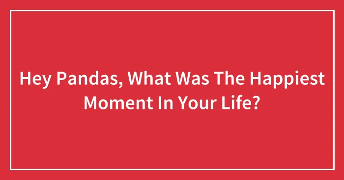 Hey Pandas, What Was The Happiest Moment In Your Life? (Closed)
