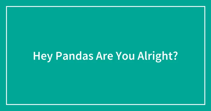 Hey Pandas Are You Alright?