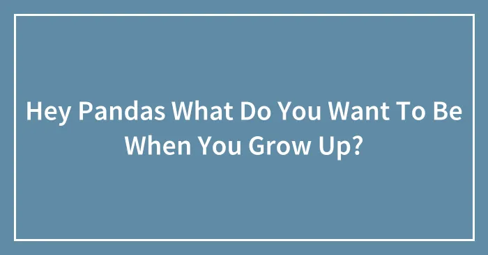 Hey Pandas What Do You Want To Be When You Grow Up?