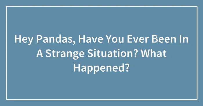 Hey Pandas, Have You Ever Been In A Strange Situation? What Happened?