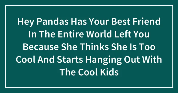 Hey Pandas Has Your Best Friend In The Entire World Left You Because She Thinks She Is Too Cool And Starts Hanging Out With The Cool Kids