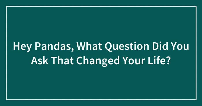 Hey Pandas, What Question Did You Ask That Changed Your Life? (Closed)