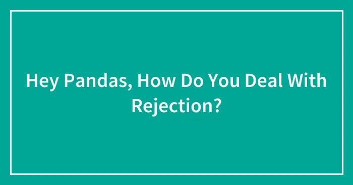 Hey Pandas, How Do You Deal With Rejection? (Closed)