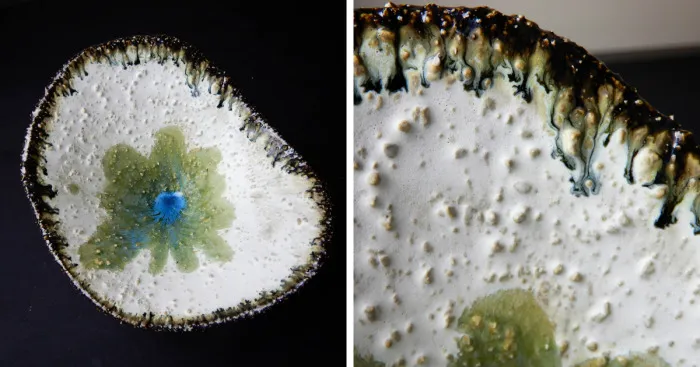 I Made Unique Ceramics Inspired By Nature
