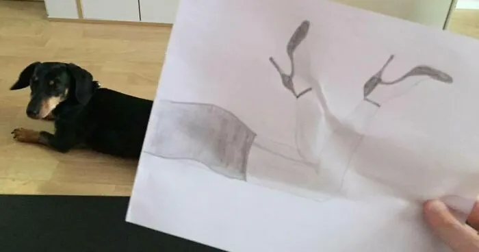 Hey Pandas, Take A Picture Of Your Pet And Draw The Other Half On A Piece Of Paper (Closed)