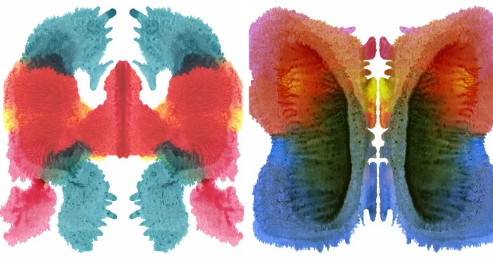 Here Are My 12 My Inkblot Creations, Share What You See