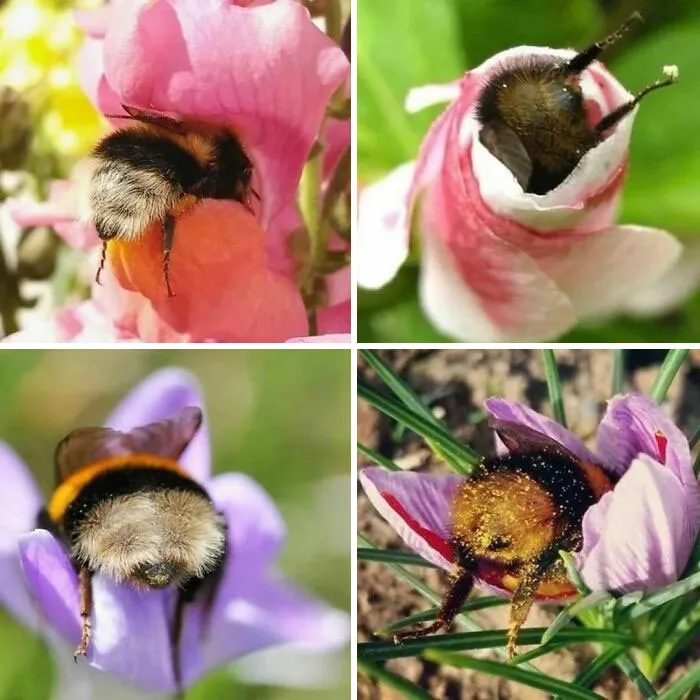 50 Photos Of Animals Just Living Their Best Life, As Shared On This Instagram Page