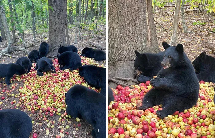50 Photos Of Animals Just Living Their Best Life, As Shared On This Instagram Page