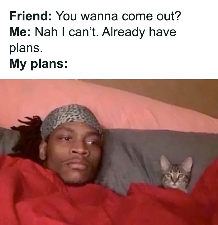 This Online Group Is Sharing The Best Cat Posts, Jokes, And Memes (50 Pics)