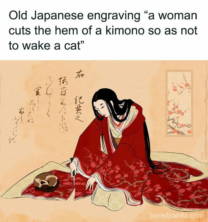 This Online Group Is Sharing The Best Cat Posts, Jokes, And Memes (50 Pics)