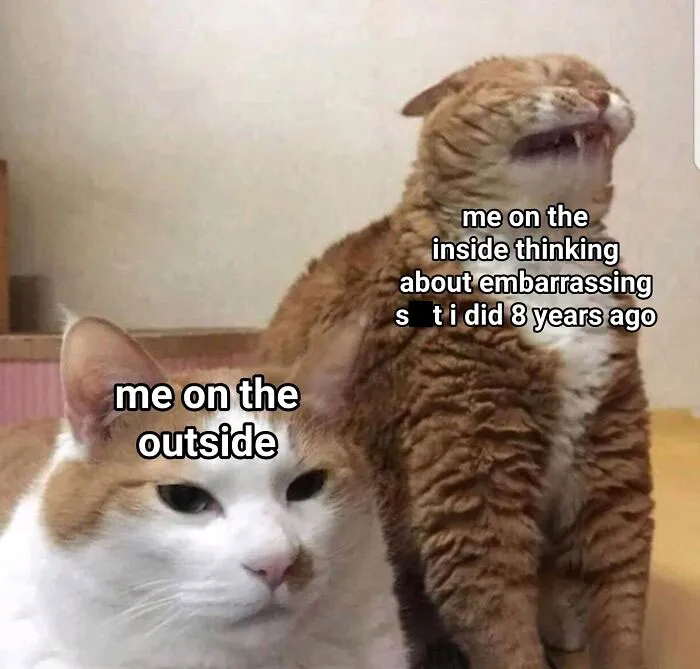 Meow_irl