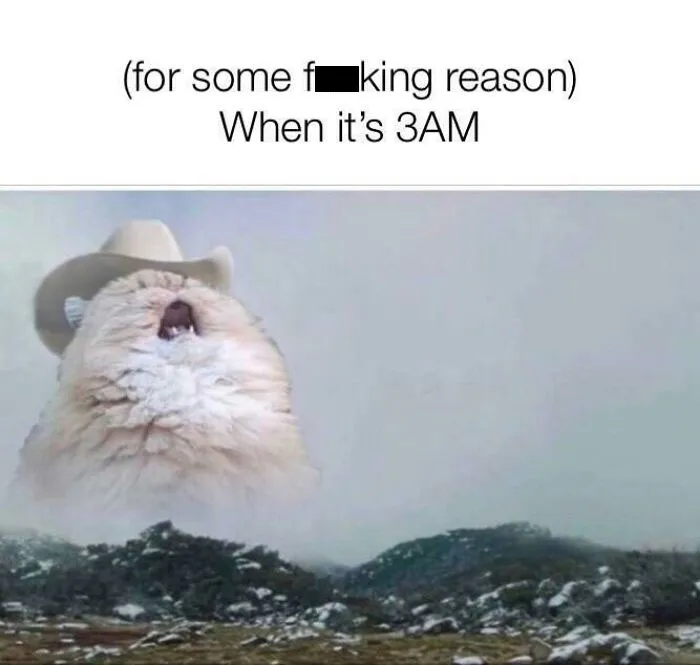 This Online Group Is Sharing The Best Cat Posts, Jokes, And Memes (50 Pics)