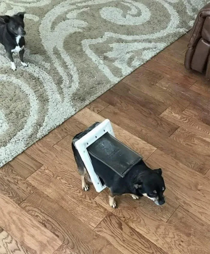 Mistakes Have Been Made