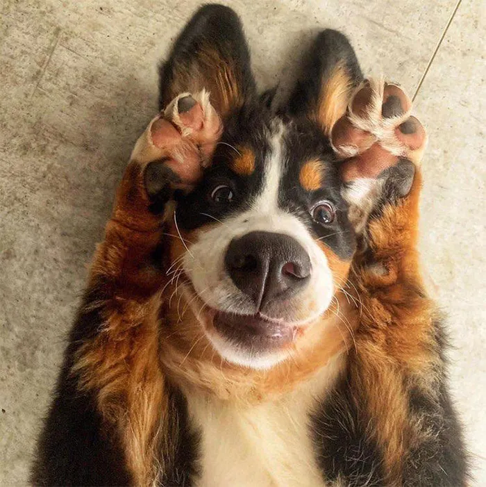 Peek A Boo!!!