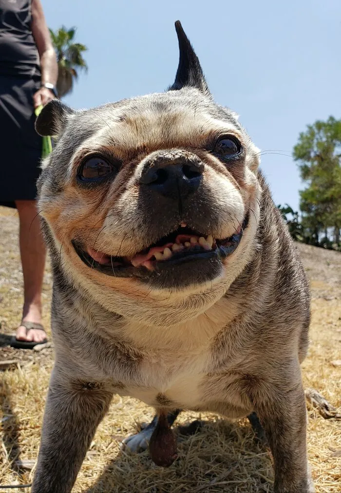 Jasmine, ¡acaba de cumplir 18 años!