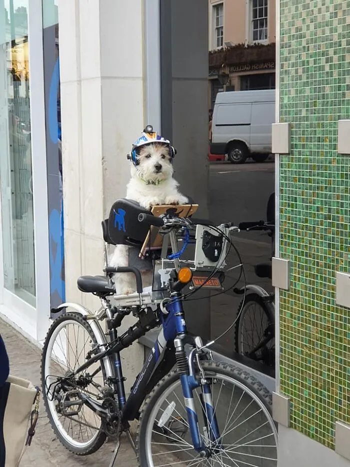 Visto en Greenwich, Londres. Mi única pregunta es ¿cómo se enciende la linterna de la cabeza? Sí, aparte de eso... no hay preguntas obvias