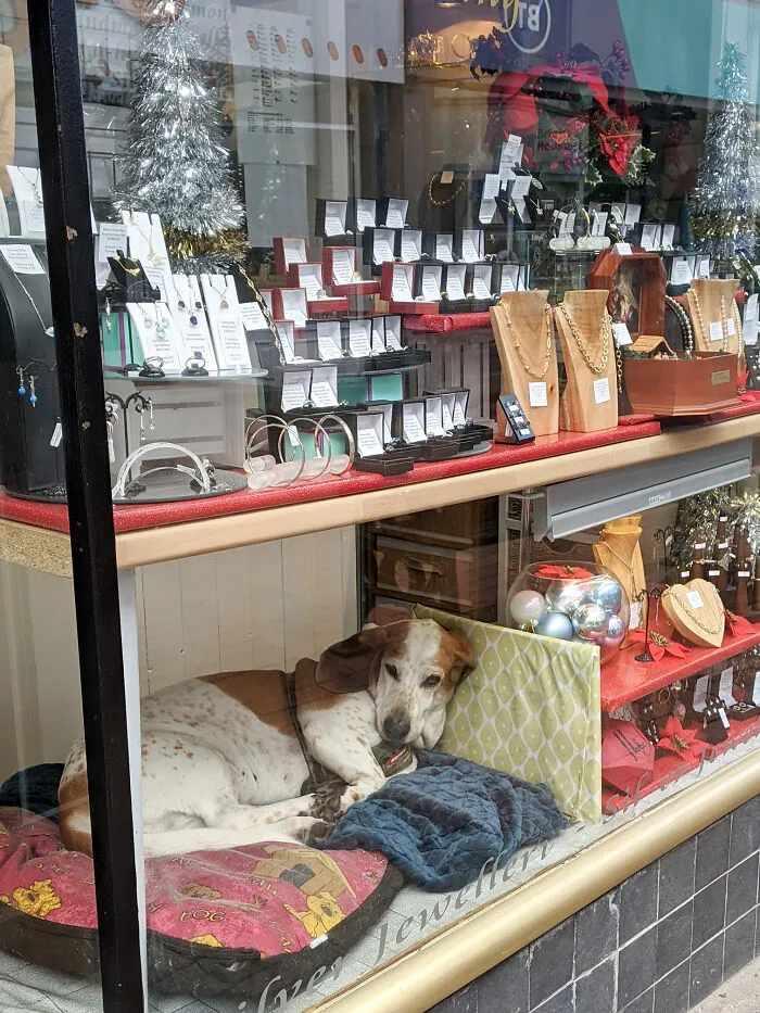 Jewellery Shop Basset