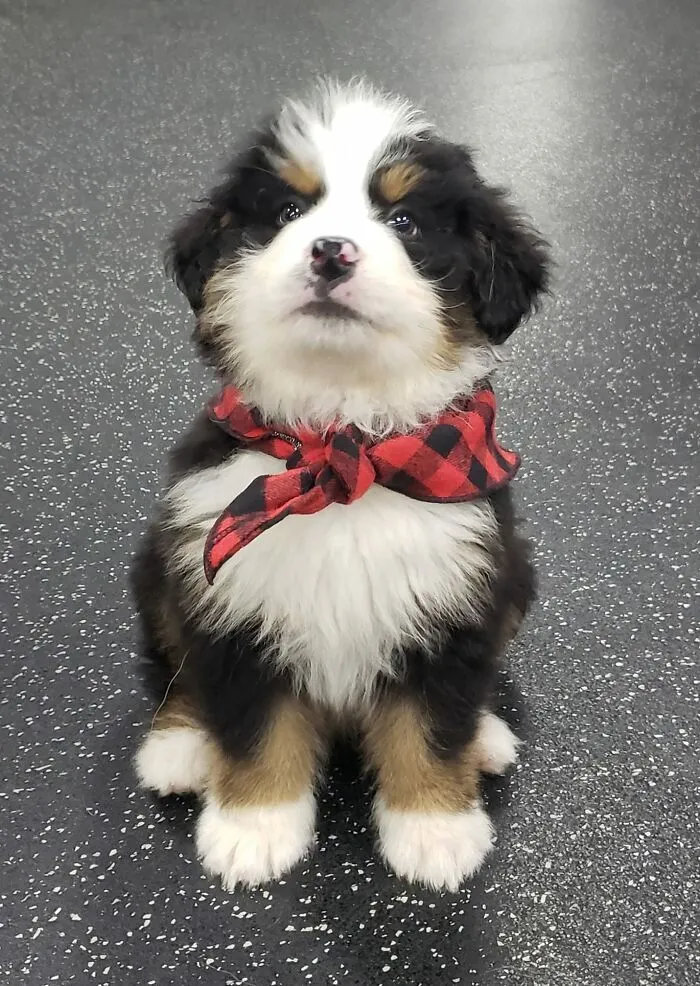 Chicos este es Jackson y acaba de venir a mi trabajo