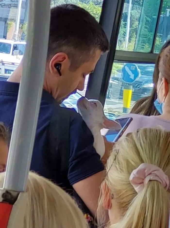 Cutest Scene Spotted In A Bus