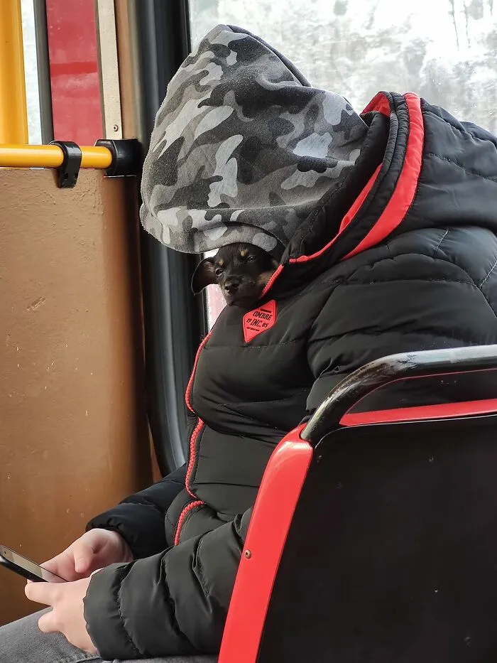 ¿No os gustan estas vistas cuando viajáis en transporte público?
