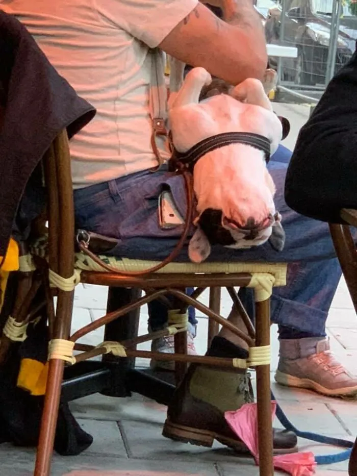 Sonja Is Having The Best Of Her Times