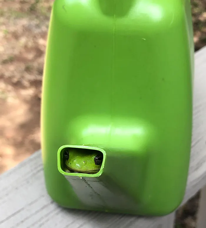 Por eso no salía el agua