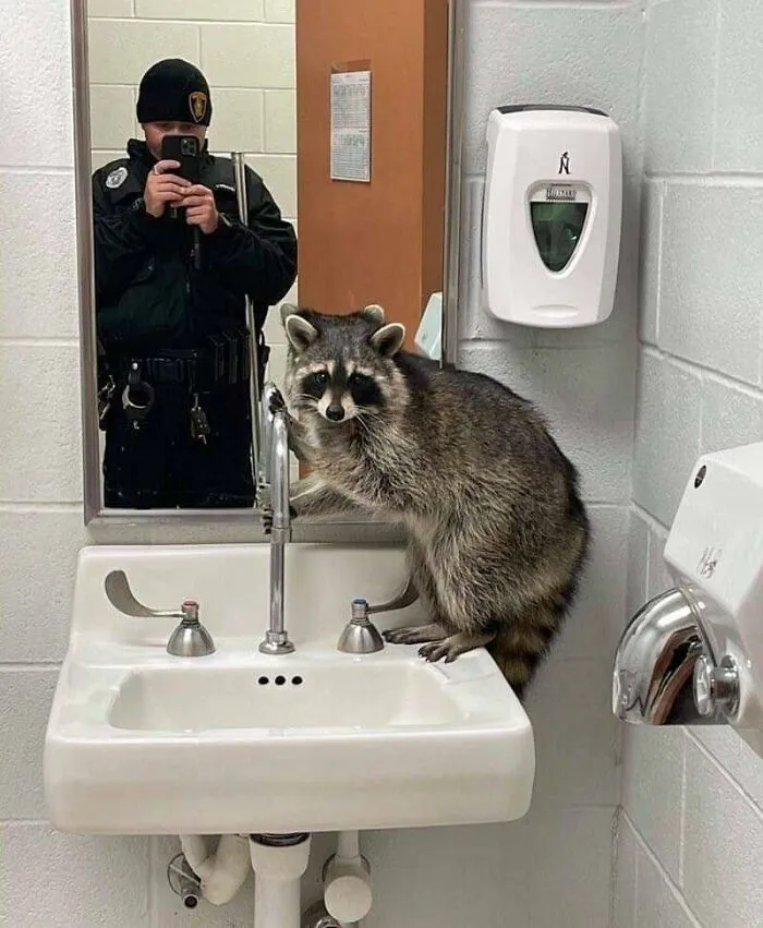 Delinquiendo en el baño