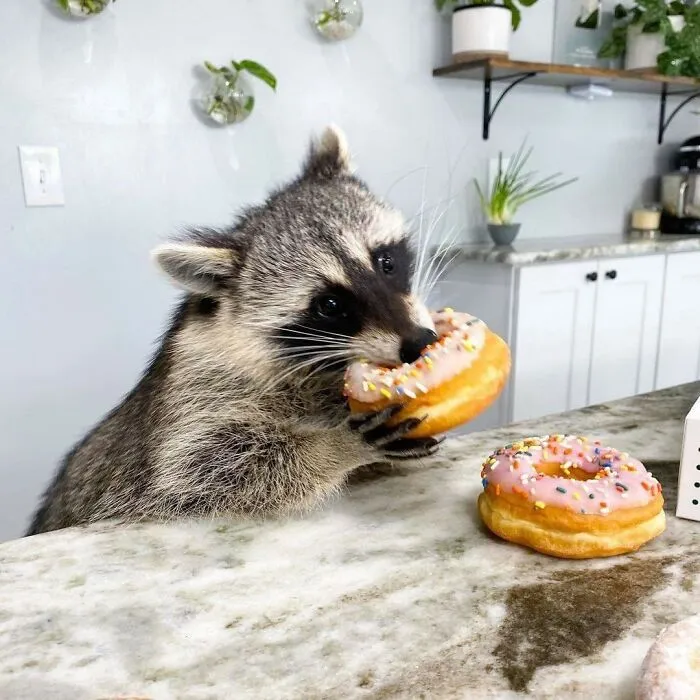 Me After Gym