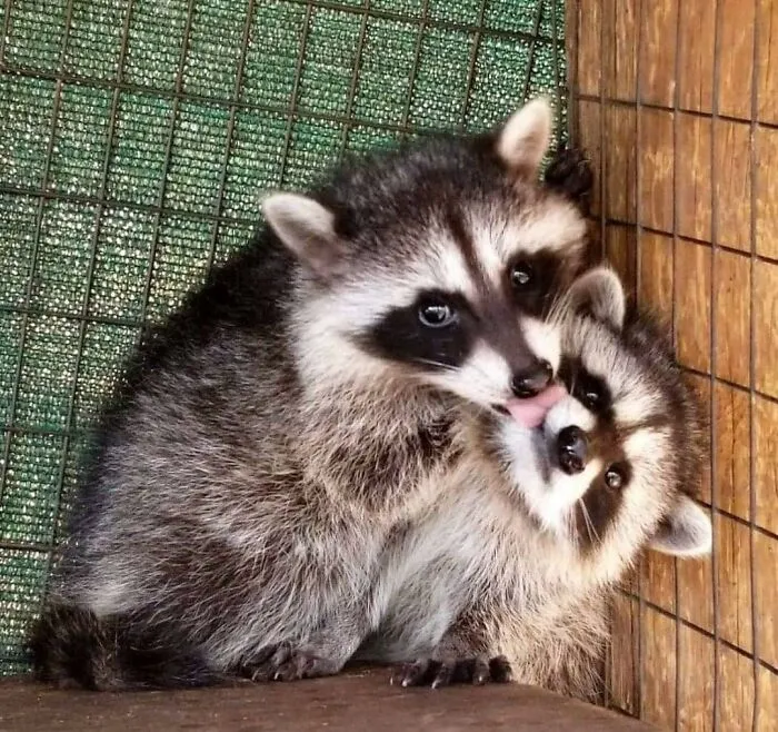 Smlem