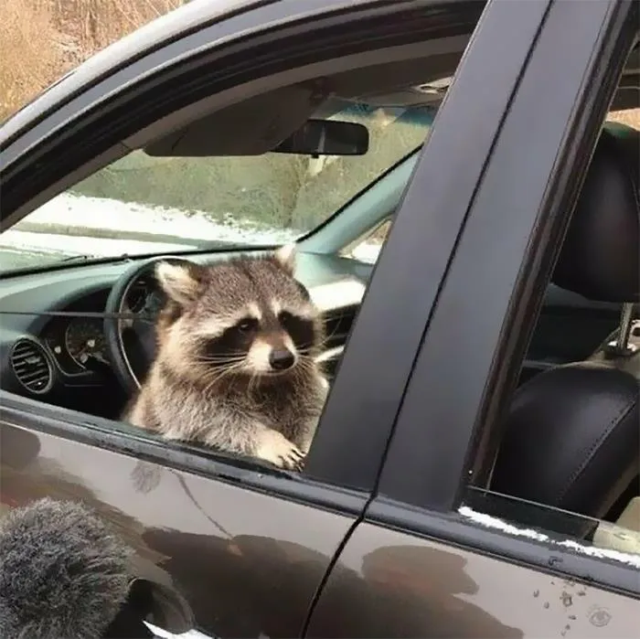 Don't Make Me Come Back There I Swear To God