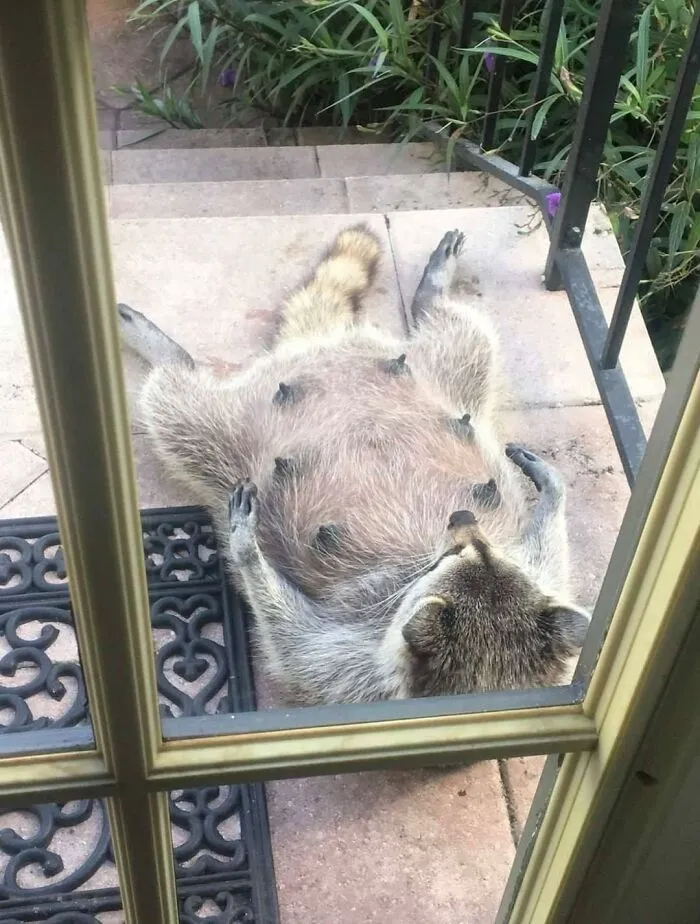 When Your Milkshakes Don’t Bring Anyone To Your Yard