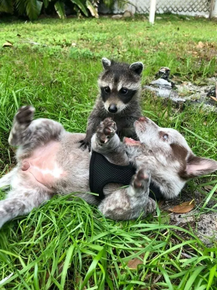 Friends