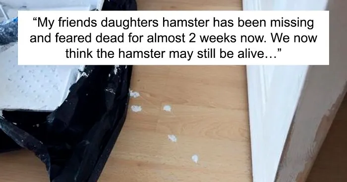 The Parents Of Twitter Continue To Raise The Bar On Comedy, And Here Are 30 Of Their Funniest Tweets This August