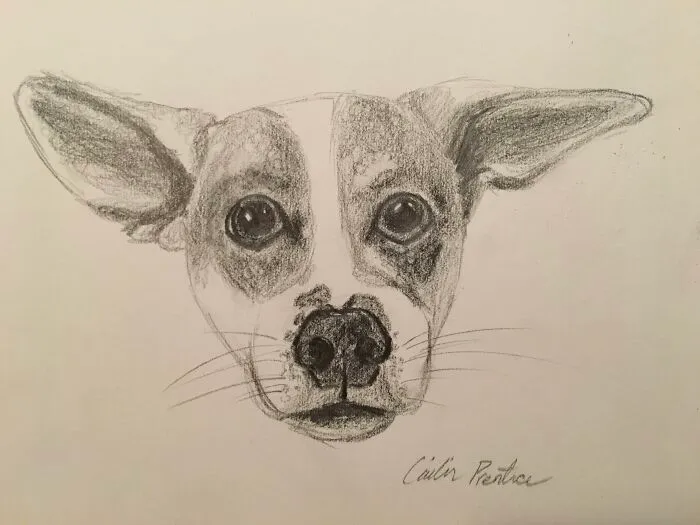 Heres A Quick Sketch Of Trixie