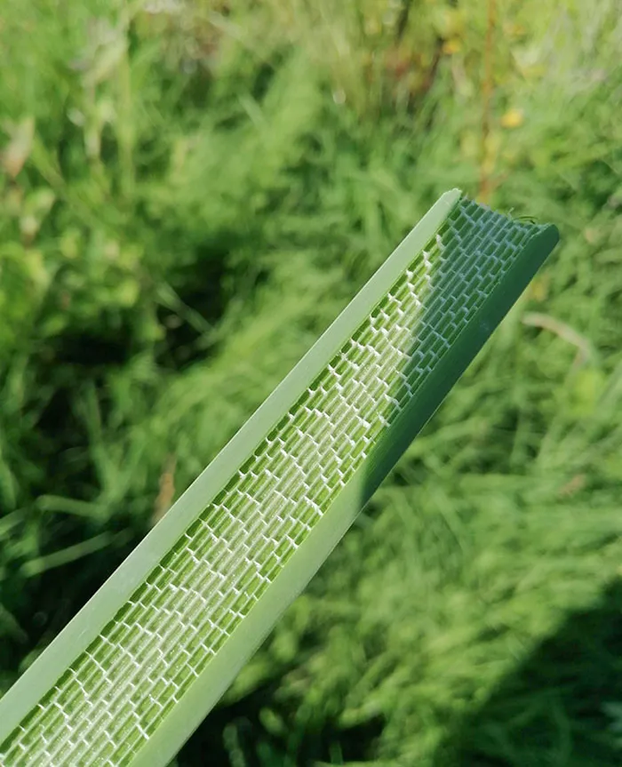 The Inside Structure Of This Plant