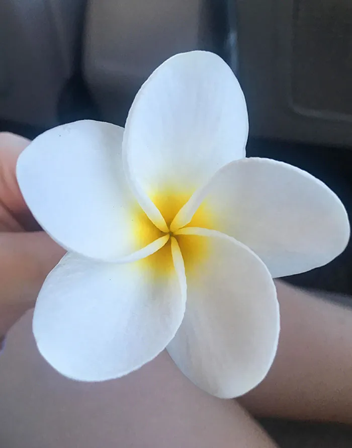 Flor encontrada en Hawai