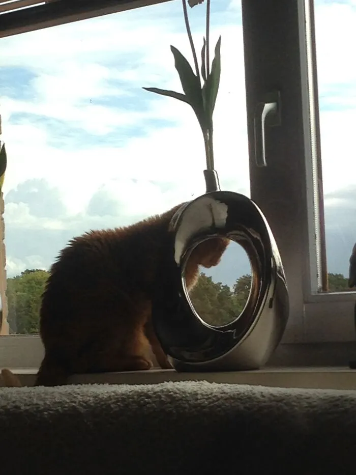 Hakuna Matata - Even Without Trying, He Keeps Making Me Smile Daily.