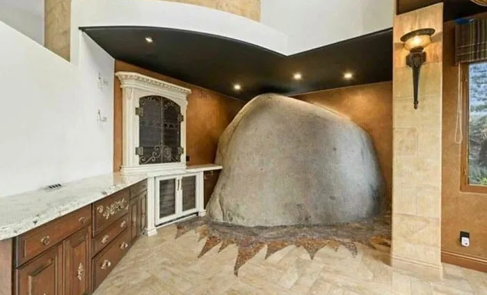 “Fred, I Think The Termite Problem Is Getting Out Of Hand”