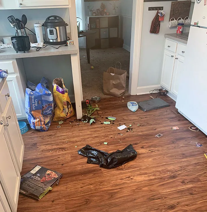 Let Brother-In-Law Stay With Us While He Got Back On His Feet, And Came Home To Every Glass Piece In My House Broken