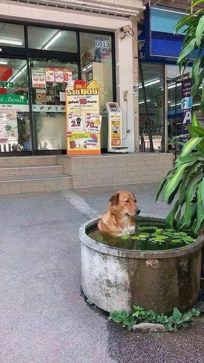 Hace calor en Tailandia