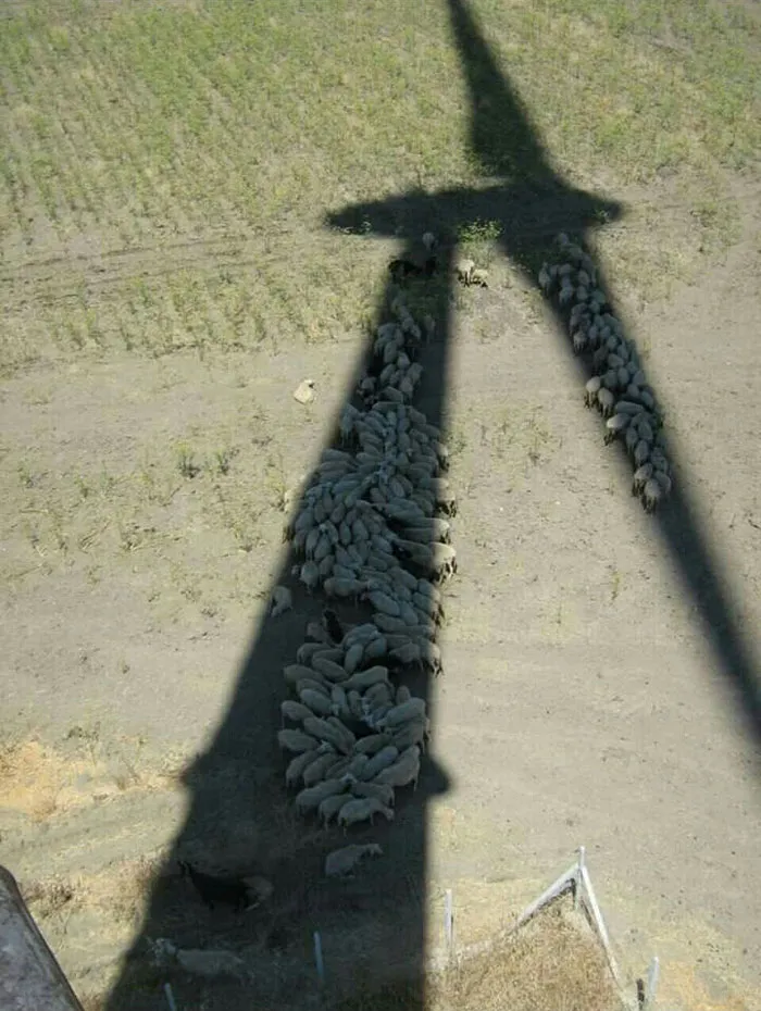 La naturaleza a la sombra de la tecnología