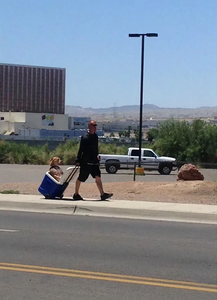 Un tipo con el calor de Arizona no quería que las patas de su perro se quemaran, así que lo metió en una nevera