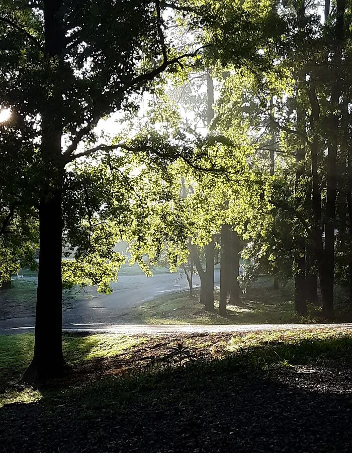 Early Morning Sunlight