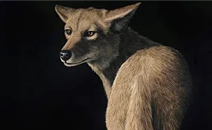 My Daughter Creates Hyper-Realistic Animal Portraits (30 Pics)
