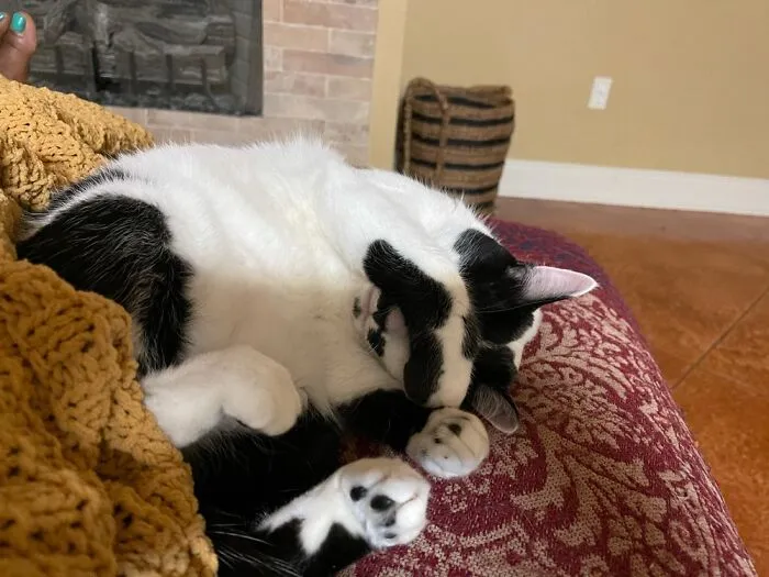 Camera Shy