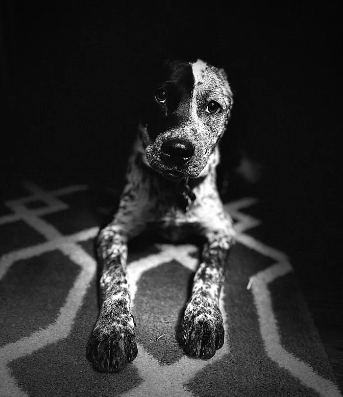 Remi My First Photo Editing Subject