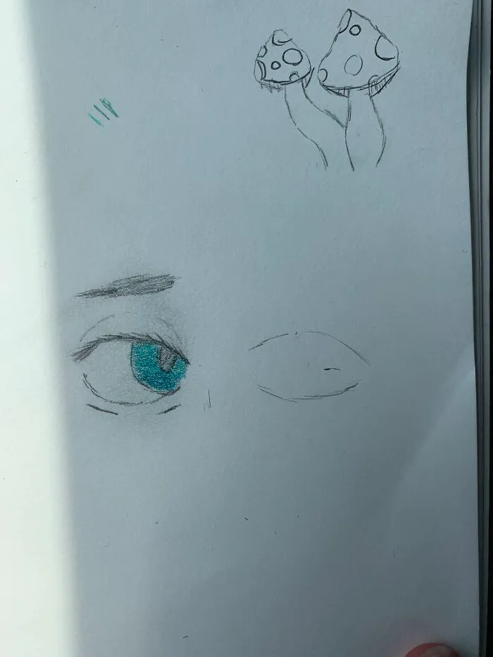 Left Is 5 Minutes And Right Is 5 Seconds (Also Don’t Mind The Mushrooms In The Corner This Was Not Part Of This)