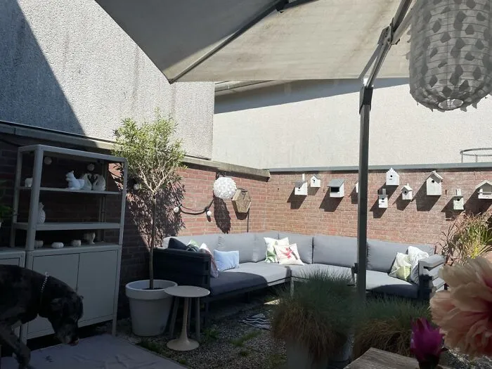 Our Little Stamp-Sized Backyard!