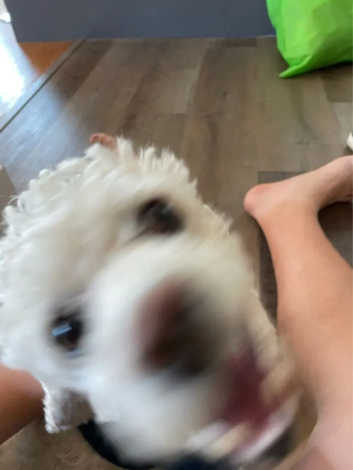 Aaaaaaa