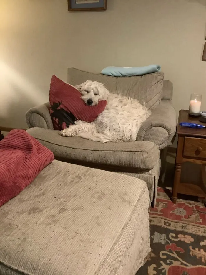 Our Millie